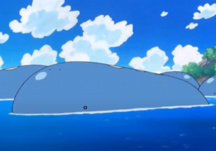 wailord habitat naturel