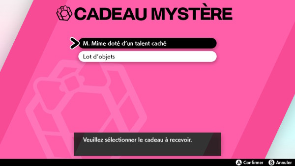 Cadeau Mystère