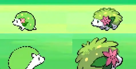 Beta Shaymin