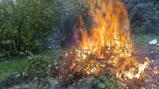 brûler des déchets verts