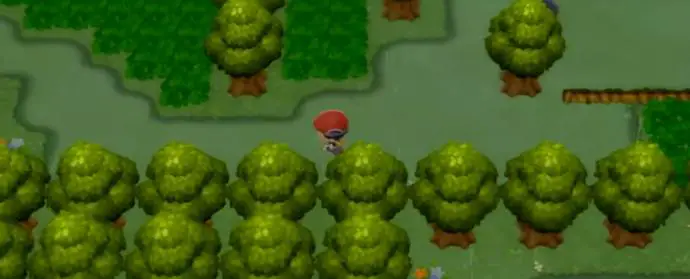 Captue d'écran de la route 205 de Pokémon Diamant Étincelant et Perle Scintillante telle que montrée dans le Pokémon Presents