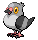 Poichigeon