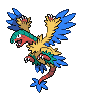 Aeropteryx
