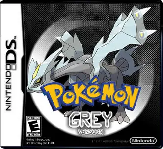 Jaquette Pokémon Gris n°4