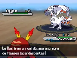 Le Reshiram de N