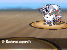 Un Reshiram apparaît !