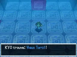 Vous avez le tortil!