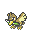 Canarticho