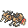 Dodrio