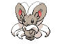 573 - Pashmilla