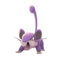 Rattata