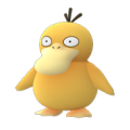 Psykokwak