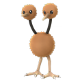 Doduo