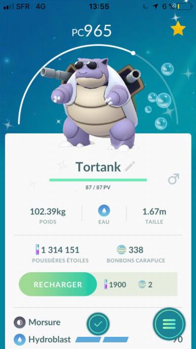 Tortank shiny lunettes