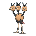 Dodrio