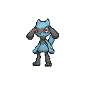 Riolu