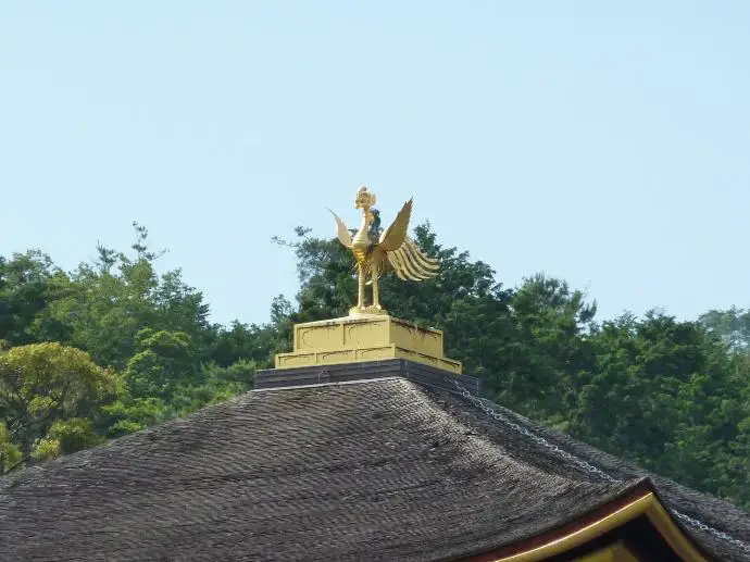 Photographie Oiseau Kinkaku-ji