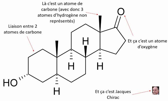 androstérone explication