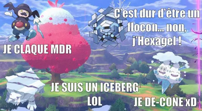 jeux de mots pourris sur la glace