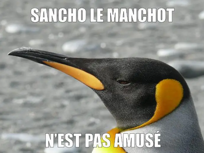 meme sancho le manchot n'est pas amusé