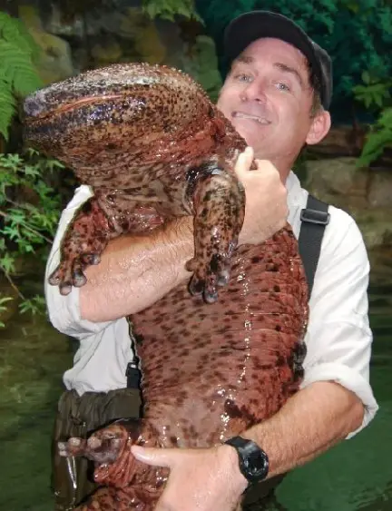 Un monsieur content avec sa salamandre