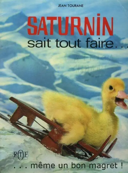 saturnin canard trop mignon