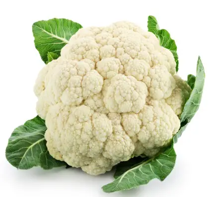 chou fleur