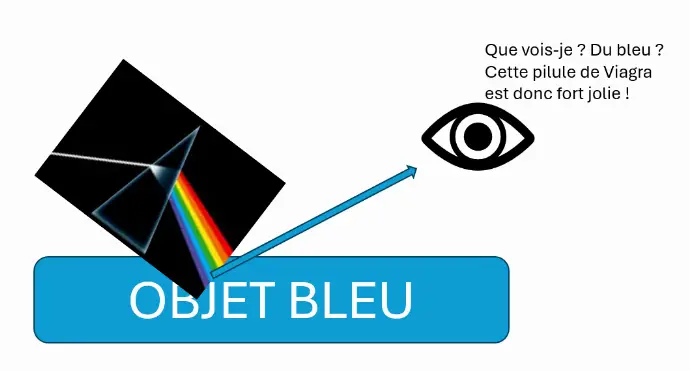schéma vision couleur