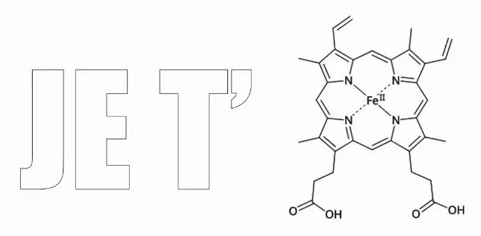 heme structure