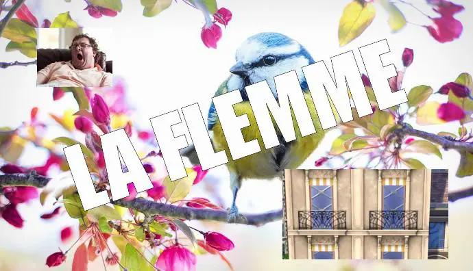 la flemme