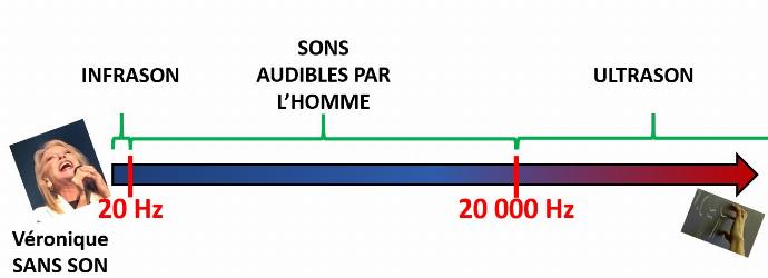 diagramme avec les domaines de fréquence: infrason, sons audibles et ultrason