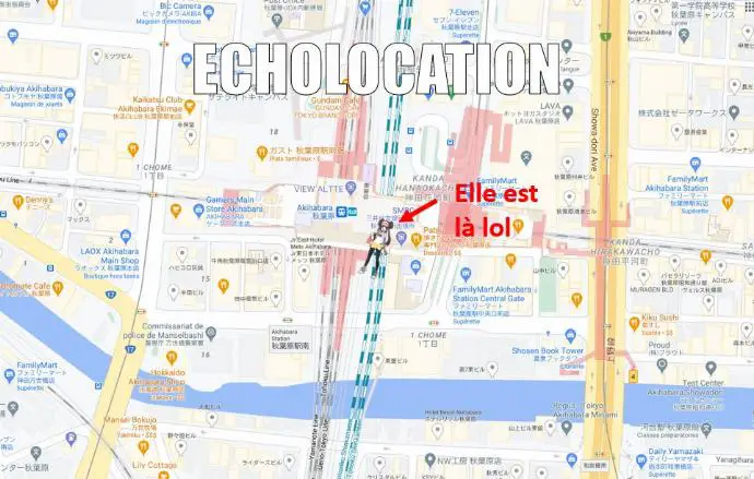 écholocation google map écho