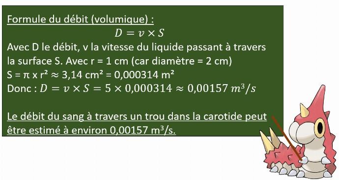 calcul débit sang