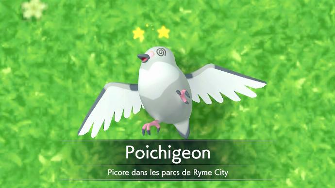 Poichigeon K.O