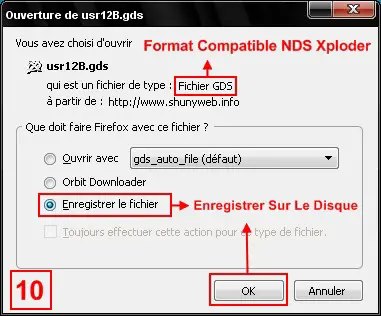 10 Enregistrer Sur Le Disque (.gds)