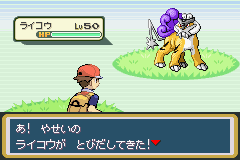 Rencontre avec Raikou