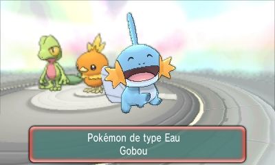 Le Pokémon Starter Gobou