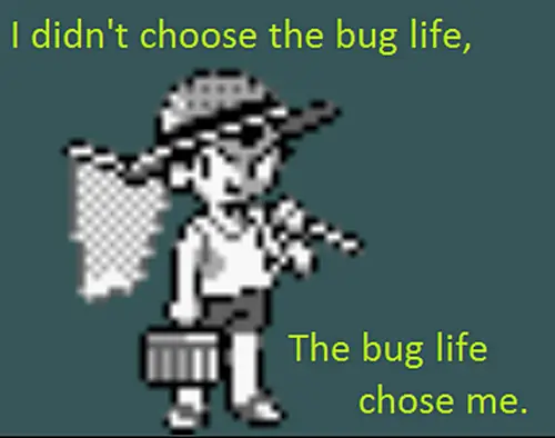 I didn't choose the bug life, but the bug life chose me.
