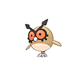 Hoothoot