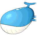 Wailord