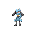 Riolu