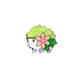 Shaymin