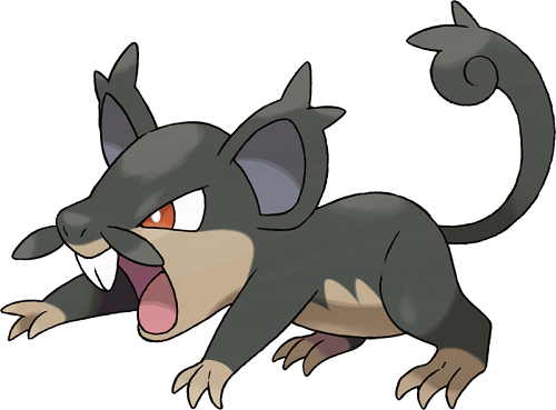 Rattata immigrant mexicain