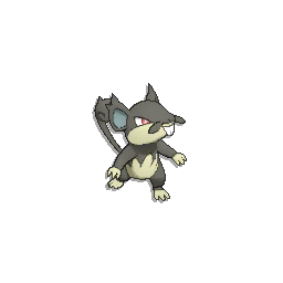 Rattata