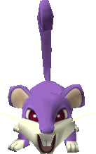 Rattata