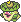 Ludicolo