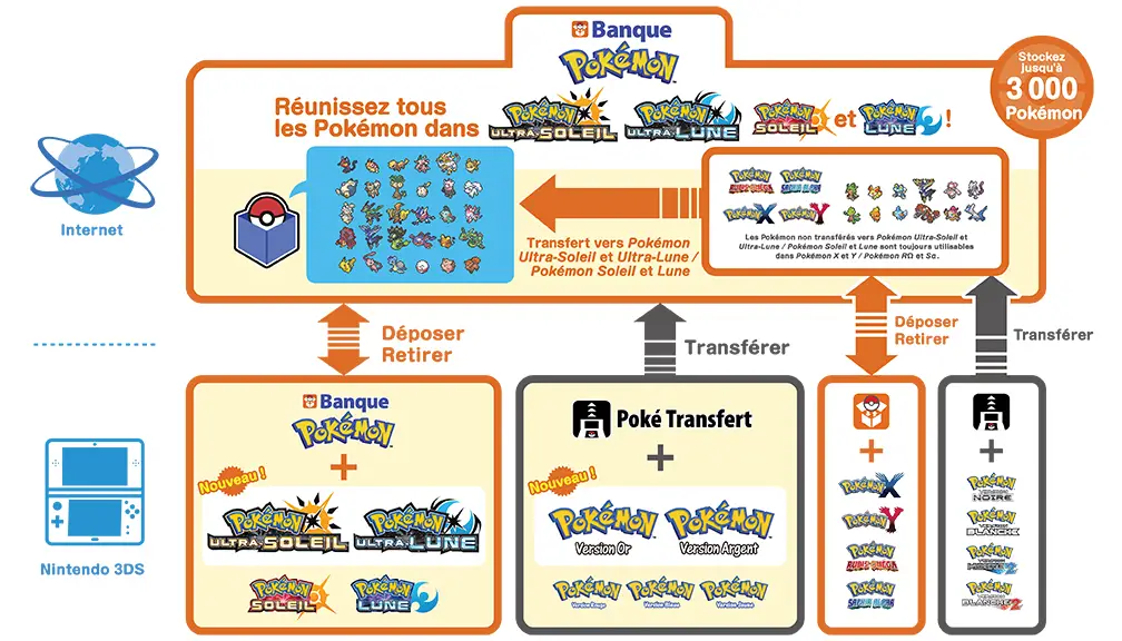 Organigramme Banque Pokémon