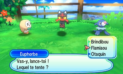 Pokémon - Un Pokémon sauvage apparaît dans votre galette des