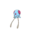 Tentacool