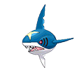 Sharpedo